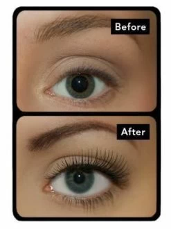 Make-up Studio False Lash Effect Mascara 4D Extra Black -Schoonheids- En Haarproducten mascara ultimate lengthening 2 1